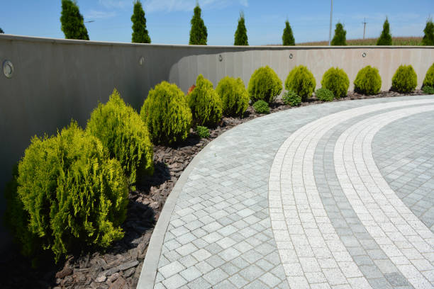 Best Concrete Paver Driveway  in Orange Park, FL